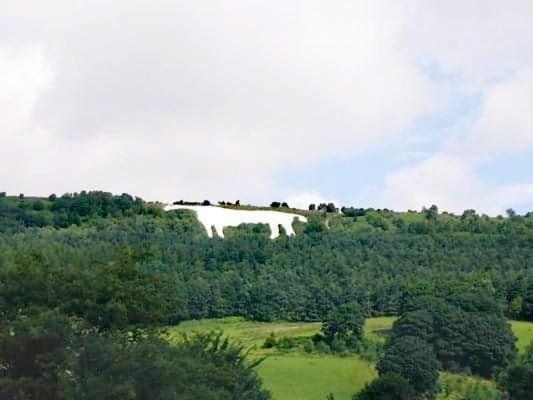 Grange Farm Lodge Ripon Kültér fotó