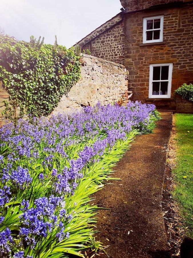 Grange Farm Lodge Ripon Kültér fotó